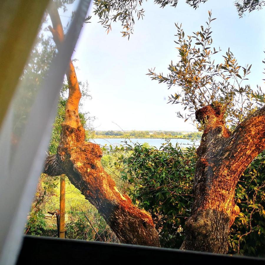 Sul Lago Dorato Терачина Екстериор снимка